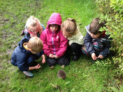 Image of Year 1 Forest School - Building Friendships in the Forest