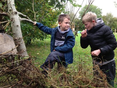Image of Forest School Fun for Years 6 and 3