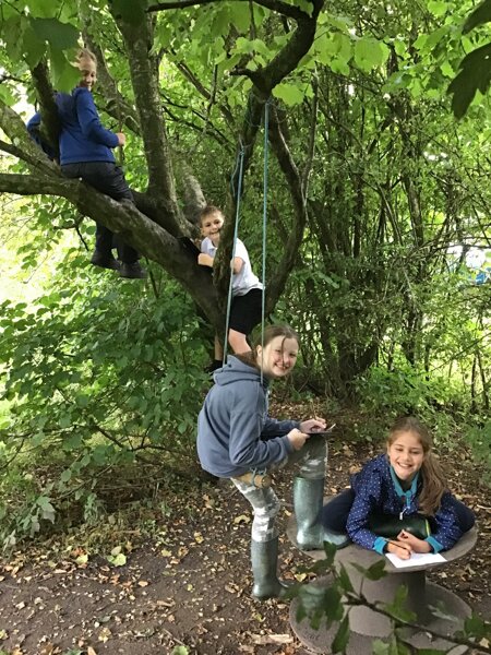 Image of Year Five First Forest School Session