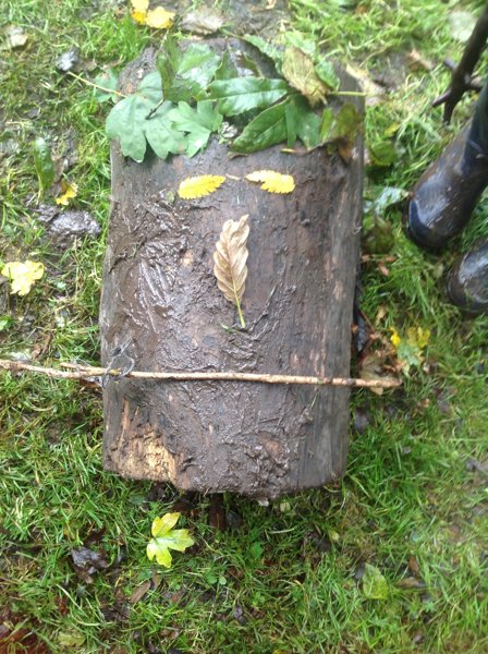 Image of Year 1 Forest School - Autumn Art