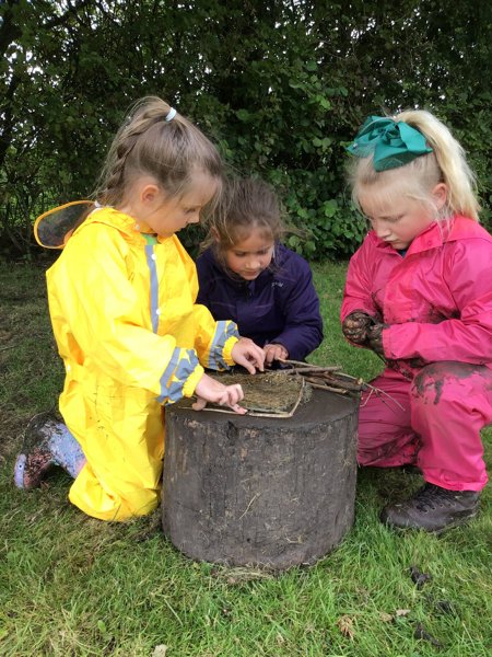 Image of Year 2 - Forest School